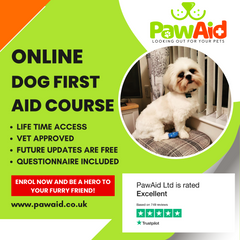 Best Selling - Pet First Aid Course Online.