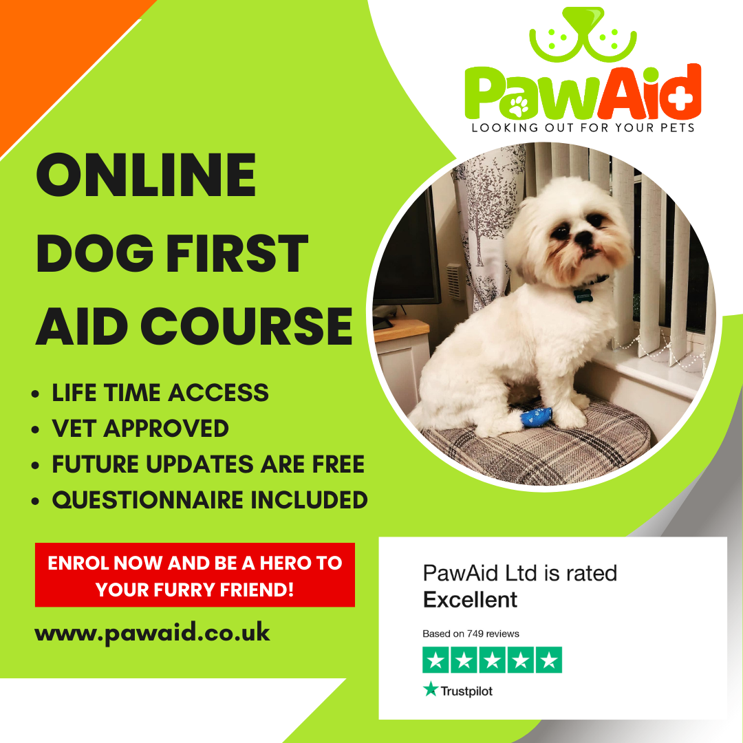 Best Selling - Pet First Aid Course Online.