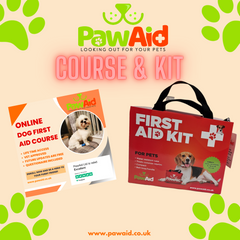 PawAid Course & Kit Bundle
