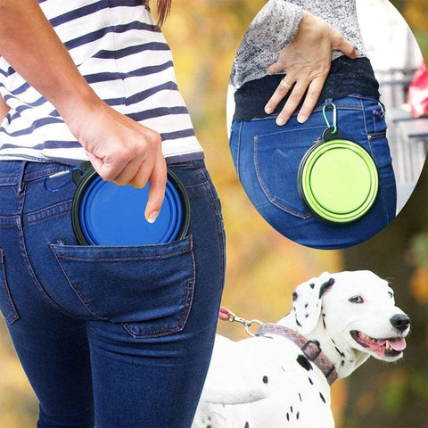 Large Silicone Collapsible Dog Bowls